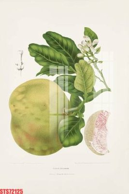 Tải file gốc Tranh sơn dầu phương tây tổng hợp STS72125 (bản PSD) còn layer