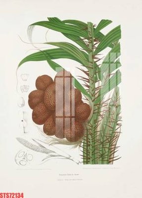 File gốc Tranh sơn dầu phương tây tổng hợp STS72134 (in mica) cắt laser