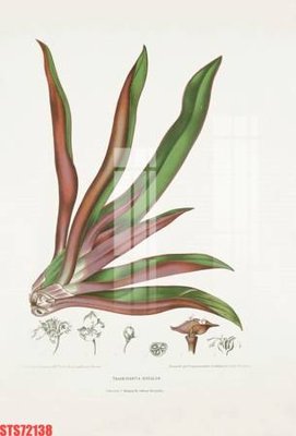 File gốc Tranh sơn dầu phương tây tổng hợp STS72138 (cho in UV) siêu nét