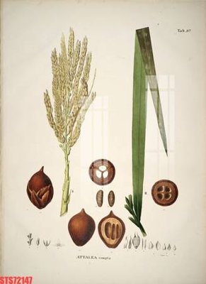 File ảnh Tranh sơn dầu phương tây tổng hợp STS72147 (gốc) dùng in Pano