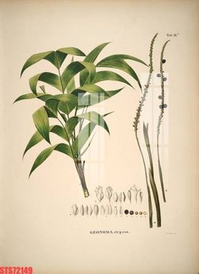 File in ấn Tranh sơn dầu phương tây tổng hợp STS72149 (bản gốc) sắc nét