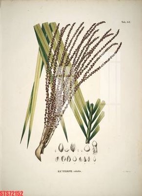 Tải file gốc Tranh sơn dầu phương tây tổng hợp STS72152 (in tráng gương) siêu đẹpFile tranh gốc Tranh sơn dầu phương tây tổng hợp STS72152 chất lượng cao