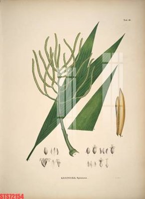 File gốc Tranh sơn dầu phương tây tổng hợp STS72154 (in lụa) hoa văn cổ điển