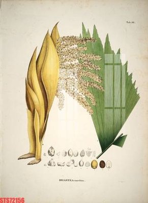 File tranh Tranh sơn dầu phương tây tổng hợp STS72156 (file gốc) chủ đề phong thủy