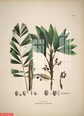 File gốc Tranh sơn dầu phương tây tổng hợp STS72170 (dành cho trang trí nội thất)