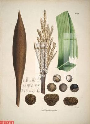 File in trần Tranh sơn dầu phương tây tổng hợp STS72171 (file gốc) chủ đề vũ trụ