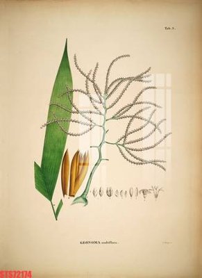 File gốc Tranh sơn dầu phương tây tổng hợp STS72174 (trang trí) phòng trẻ em