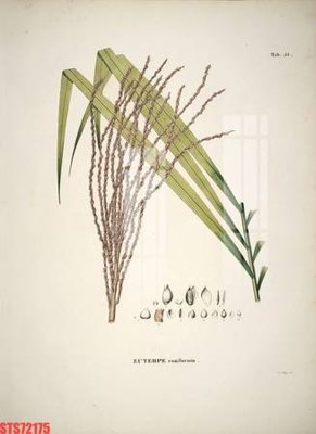 File tranh ảnh gốc Tranh sơn dầu phương tây tổng hợp STS72175 dùng cho in khổ lớn