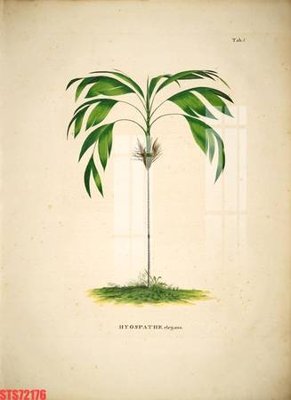 File gốc Tranh sơn dầu phương tây tổng hợp STS72176 cho in ấn và thiết kế