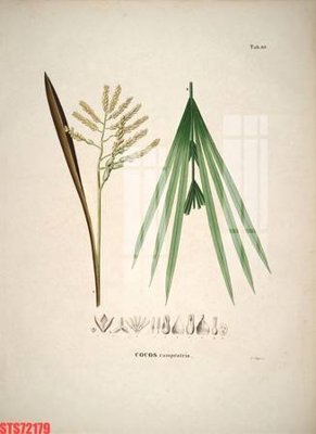 File tranh in mica Tranh sơn dầu phương tây tổng hợp STS72179 (độ phân giải cao)