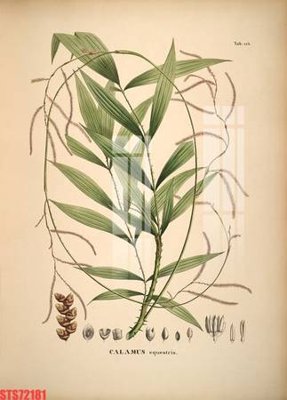 File tranh trang trí Tranh sơn dầu phương tây tổng hợp STS72181 (tải file gốc)