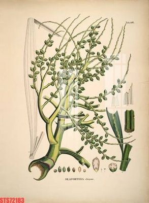 File gốc Tranh sơn dầu phương tây tổng hợp STS72183 (in mica) cắt laser