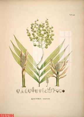 File gốc Tranh sơn dầu phương tây tổng hợp STS72184 (in tráng gương) ốp tường