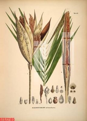 Tải file gốc Tranh sơn dầu phương tây tổng hợp STS72185 (in tráng gương) 3DFile gốc Tranh sơn dầu phương tây tổng hợp STS72185 (sẵn sàng in) chất lượng cao