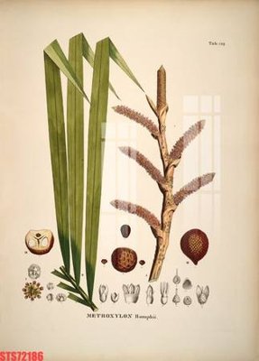 File gốc in ấn Tranh sơn dầu phương tây tổng hợp STS72186 (sẵn sàng tải về)