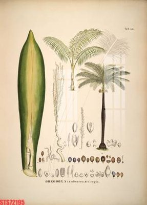 File tranh Tranh sơn dầu phương tây tổng hợp STS72195 (gốc) in vải canvas