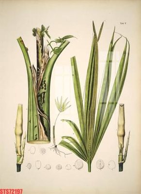 File tranh Tranh sơn dầu phương tây tổng hợp STS72197 (file gốc) chuẩn màu in