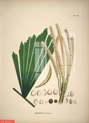 Download file Tranh sơn dầu phương tây tổng hợp STS72198 (gốc) in mica đèn LED