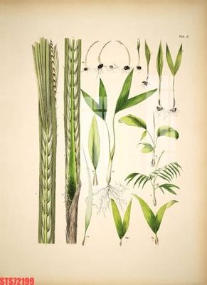 File tranh Tranh sơn dầu phương tây tổng hợp STS72199 (bản gốc) treo phòng ăn