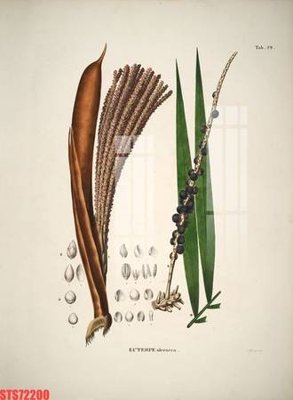 File gốc Tranh sơn dầu phương tây tổng hợp STS72200 (PNG) nền trong suốt