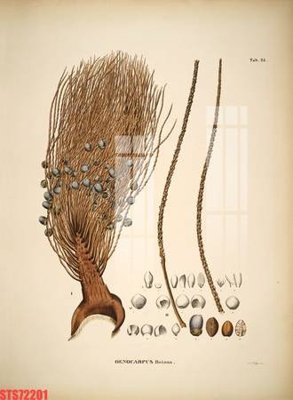 File tranh Tranh sơn dầu phương tây tổng hợp STS72201 (bản gốc) in lụa 5D