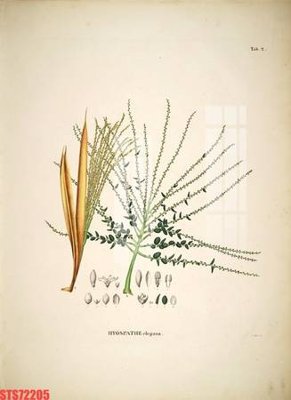 File in trần Tranh sơn dầu phương tây tổng hợp STS72205 (bản gốc) mây trời