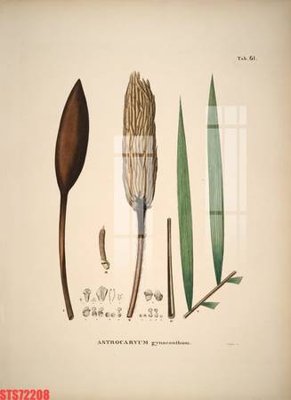 Tải file Tranh sơn dầu phương tây tổng hợp STS72208 (gốc) làm tranh trang trí