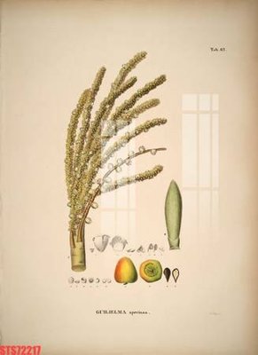 Ảnh gốc Tranh sơn dầu phương tây tổng hợp STS72217 (độ nét cao) in mica