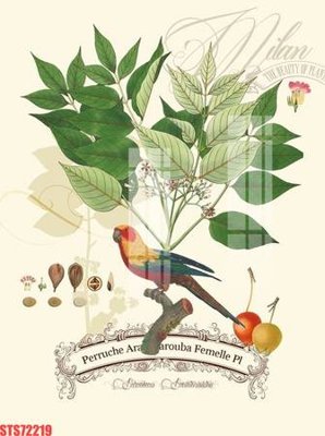 File tranh Tranh sơn dầu phương tây tổng hợp STS72219 (ảnh gốc) in trần nhà