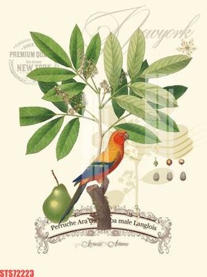 File tranh trang trí Tranh sơn dầu phương tây tổng hợp STS72223 (tải file gốc)