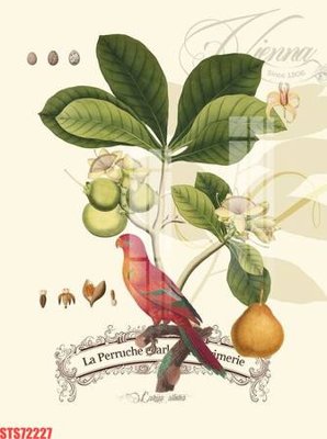 Cung cấp file tranh gốc Tranh sơn dầu phương tây tổng hợp STS72227 độc quyền