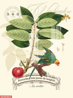 Tải về file gốc Tranh sơn dầu phương tây tổng hợp STS72228 (dùng cho in quảng cáo)