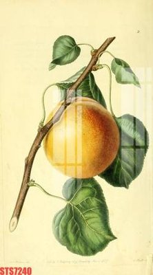 File gốc Tranh sơn dầu phương tây tổng hợp STS7240 (cho in 3D) độc đáo