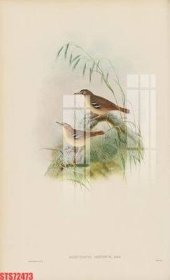 File ảnh Tranh sơn dầu phương tây tổng hợp STS72473 (gốc) in PP, decal