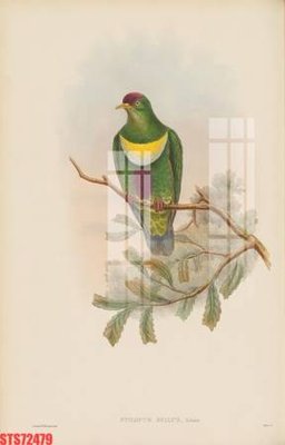 File in mica Tranh sơn dầu phương tây tổng hợp STS72479 (bản gốc) làm vách ngăn