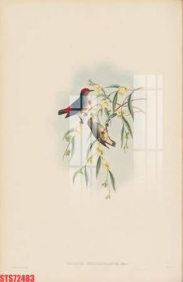 File in ấn Tranh sơn dầu phương tây tổng hợp STS72483 (bản gốc) từ file gốc