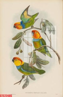 File ảnh Tranh sơn dầu phương tây tổng hợp STS72486 (gốc) in quảng cáo ngoài trời