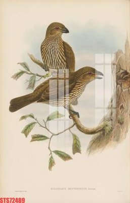 Tải file Tranh sơn dầu phương tây tổng hợp STS72489 (gốc) để in ấn ngay