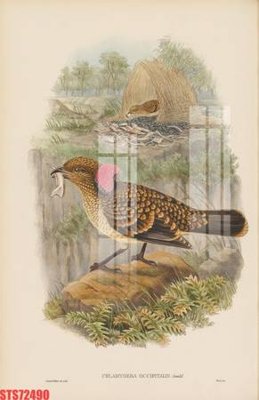 Download file gốc Tranh sơn dầu phương tây tổng hợp STS72490 (in mica) 3D