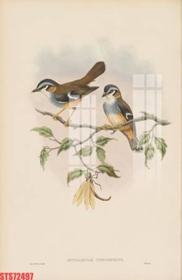 File in ấn cao cấp Tranh sơn dầu phương tây tổng hợp STS72497 (file gốc)