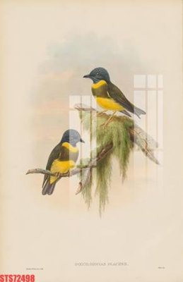 File gốc in ấn Tranh sơn dầu phương tây tổng hợp STS72498 chất lượng vượt trội