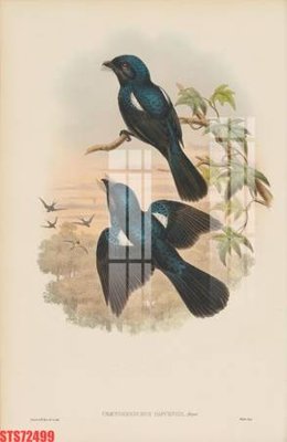 Tải file Tranh sơn dầu phương tây tổng hợp STS72499 (ảnh gốc) in gạch 3D