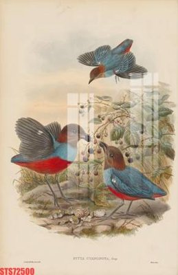 File gốc Tranh sơn dầu phương tây tổng hợp STS72500 (PNG) không nền chất lượng