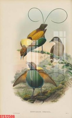 File in trần Tranh sơn dầu phương tây tổng hợp STS72506 (bản gốc) phong cảnh