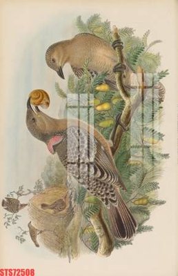 Download file Tranh sơn dầu phương tây tổng hợp STS72508 (gốc) in mica cao cấp