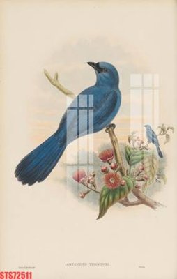 Tải file Tranh sơn dầu phương tây tổng hợp STS72511 (PSD) cho in ấn quảng cáo