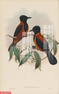 Tải file Tranh sơn dầu phương tây tổng hợp STS72515 (gốc) chủ đề phong thủy