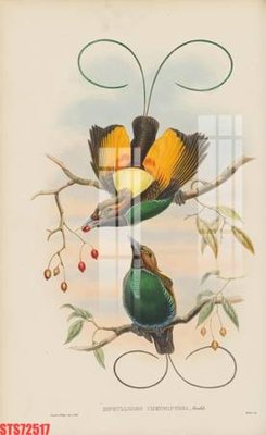 File gốc Tranh sơn dầu phương tây tổng hợp STS72517 (trang trí) phòng ngủ