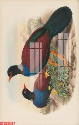 Ảnh mô tả file gốc in mica Tranh sơn dầu phương tây tổng hợp STS72527