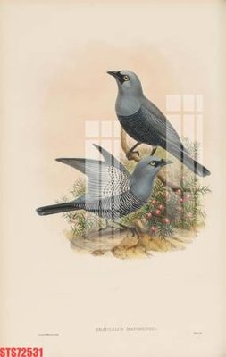 Tải file Tranh sơn dầu phương tây tổng hợp STS72531 (ảnh gốc) file AI/EPS